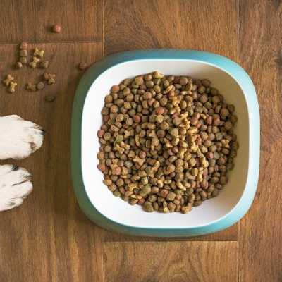 Jak powinno się czytać skład karmy dla psów na etykiecie?