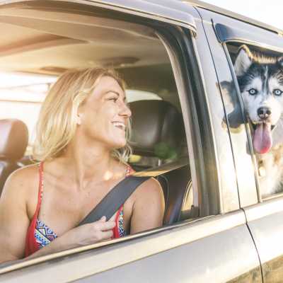 Jedziemy na wakacje - 5 sposobów na łatwą i przyjemną podróż samochodem z psem