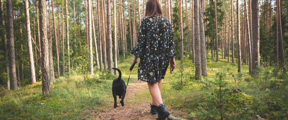 Ile powinien trwa idealny spacer z psem?