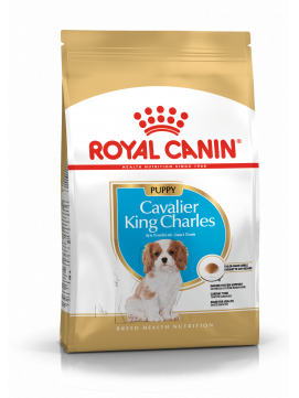 ROYAL CANIN Cavalier King Charles Spaniel PuppyKarma sucha Dla Szczenit Do 10 miesicaRasy Cavalier King Charles Spaniel 1,5 kg